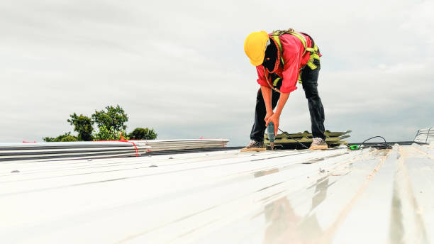 Best Metal Roofing Installation  in Lemmon, SD